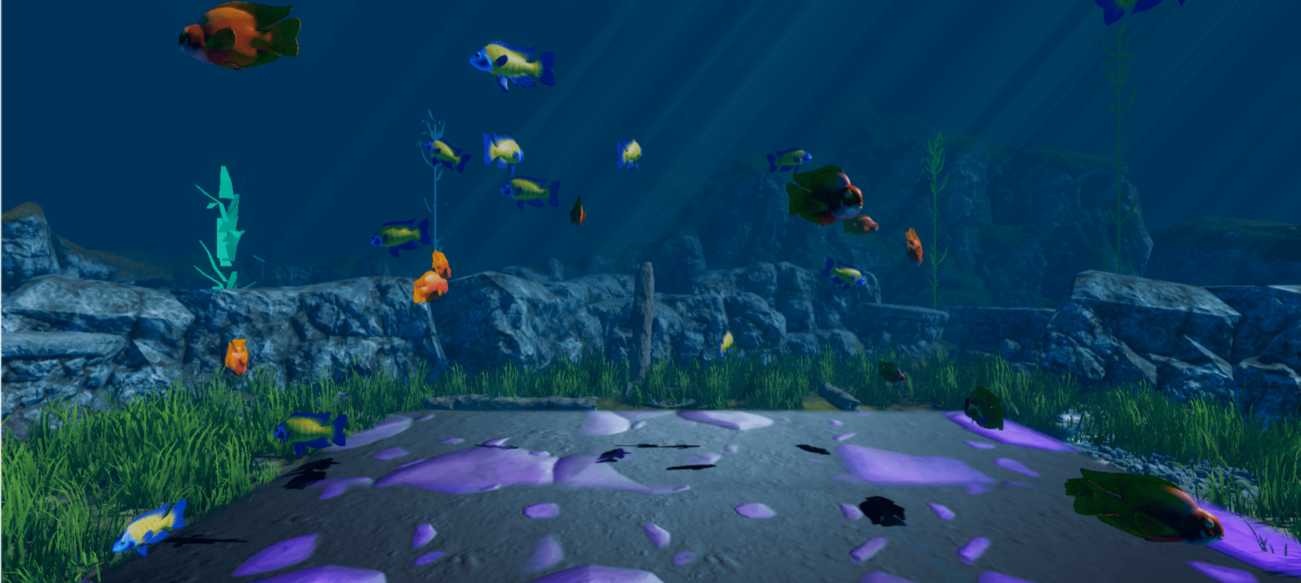 Photo of VR-based large open ocean aquarium game
